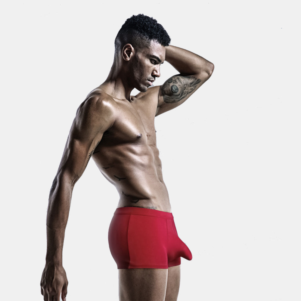 Men's Elephant Pouch Trunk-3 Pack